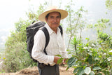 Guatemala Los Dos Socios