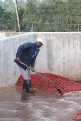 Kenya Kiamabara - Nyeri