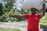 Papua New Guinea Kindeng - Natural Process