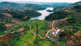 Rwanda Kilimbi Washing Station