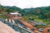 Rwanda Kilimbi Washing Station